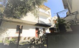 miniatura di imm-18
