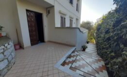 miniatura di 20240127_151652