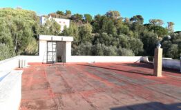 miniatura di 20240127_154320