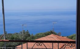 miniatura di 20210610_112940