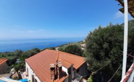 miniatura di 20210610_113029