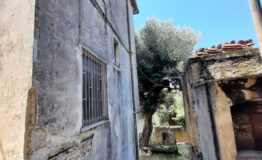 miniatura di 20210610_113428