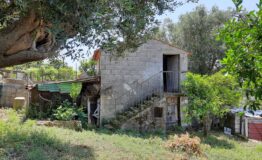miniatura di 20210610_113907