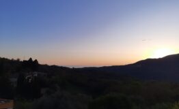 miniatura di 20250402_191117