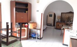 miniatura di 20250415_172050
