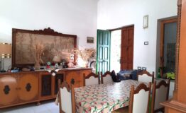 miniatura di 20250415_172101