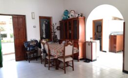 miniatura di 20250415_172230