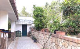 miniatura di 20250415_172533