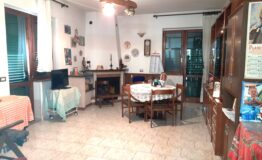 miniatura di 20250415_172733