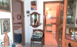 miniatura di 20250415_172742
