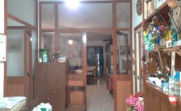 miniatura di 20250415_172857