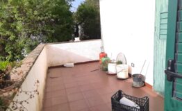 miniatura di 20250415_172939