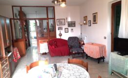 miniatura di 20250415_173012