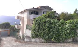 miniatura di 20250415_173310