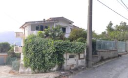 miniatura di 20250415_173326