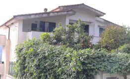 miniatura di 20250415_173336
