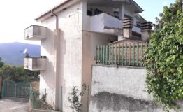 miniatura di 20250415_173406