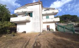 miniatura di 20250415_173807