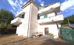 miniatura di 20250415_173838