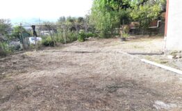 miniatura di 20250415_173904