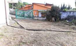 miniatura di 20250415_174005