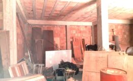 miniatura di 20250415_174340