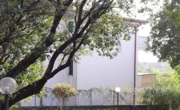 miniatura di 20250415_175148