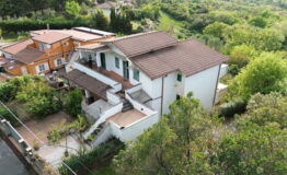 miniatura di DCIM100MEDIADJI_0827.JPG