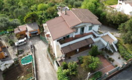 miniatura di DCIM100MEDIADJI_0832.JPG