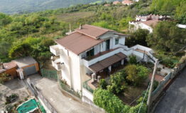 miniatura di DCIM100MEDIADJI_0844.JPG