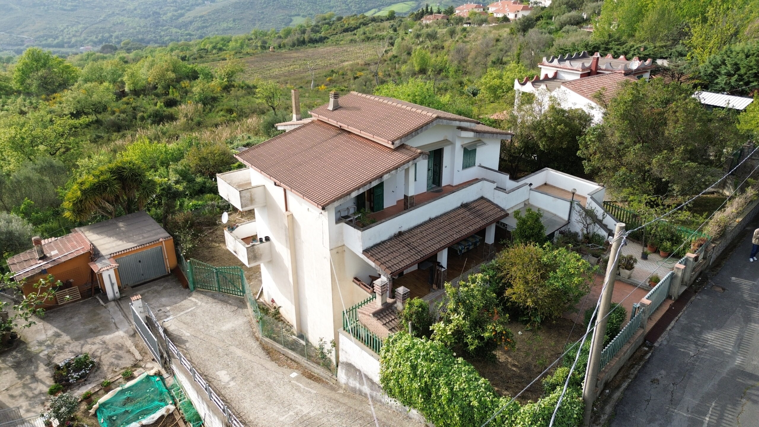 DCIM100MEDIADJI_0844.JPG