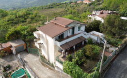miniatura di DCIM100MEDIADJI_0845.JPG