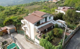 miniatura di DCIM100MEDIADJI_0846.JPG