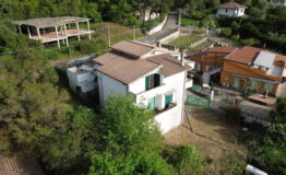 miniatura di DCIM100MEDIADJI_0847.JPG