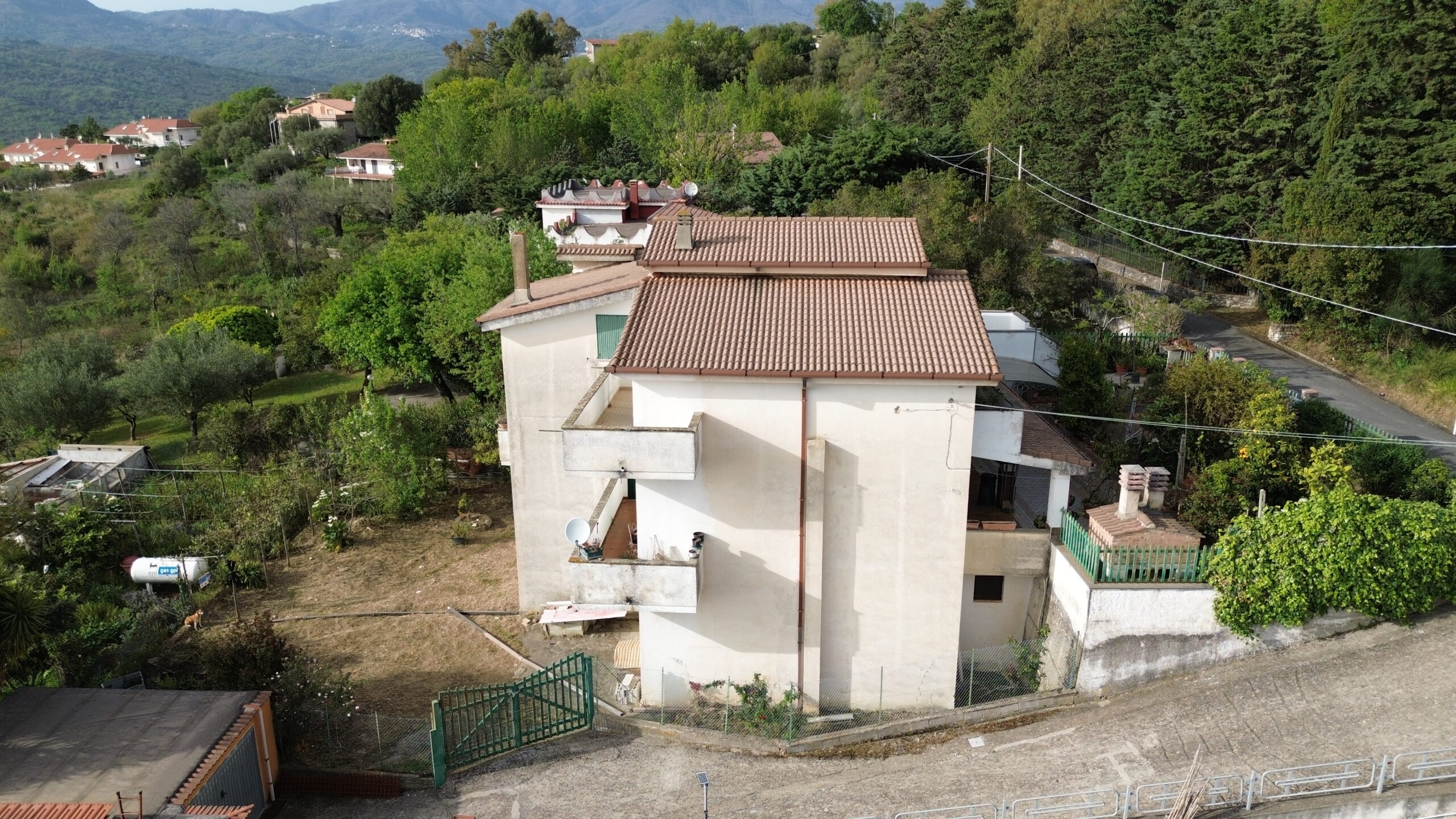 DCIM100MEDIADJI_0850.JPG