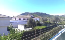 miniatura di 20250409_112744