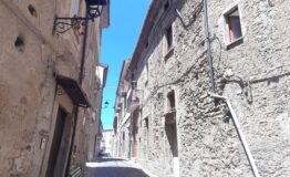 miniatura di 20250519_124541