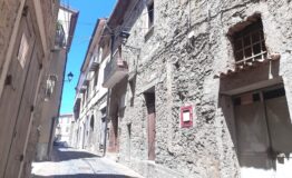 miniatura di 20250519_124601