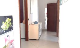 miniatura di 20250528_113618