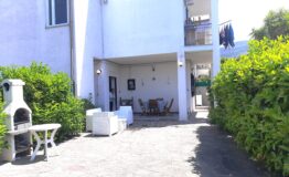 miniatura di 20250528_113740