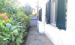 miniatura di 20250528_113837