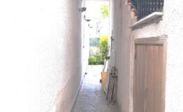 miniatura di 20250528_113847