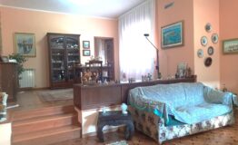 miniatura di 20251008_121142