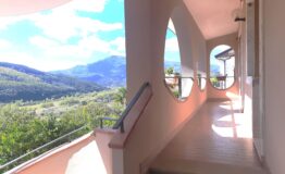 miniatura di 20251008_121339