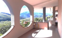 miniatura di 20251008_121408