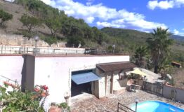 miniatura di 20251008_121444