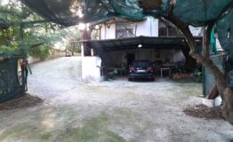 miniatura di 20251021_085511