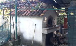 miniatura di 20251021_085536