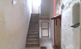 miniatura di 20251109_094802