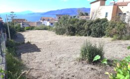 miniatura di 20260501_162203